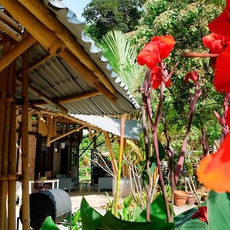 Bamboo Cottage Langkawi Pantai Cenang  Eksteriør bilde